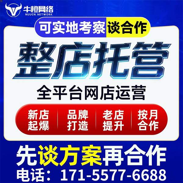 兰州电商代运营