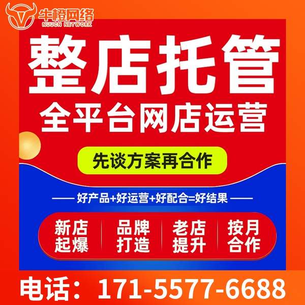 兰州电商代运营