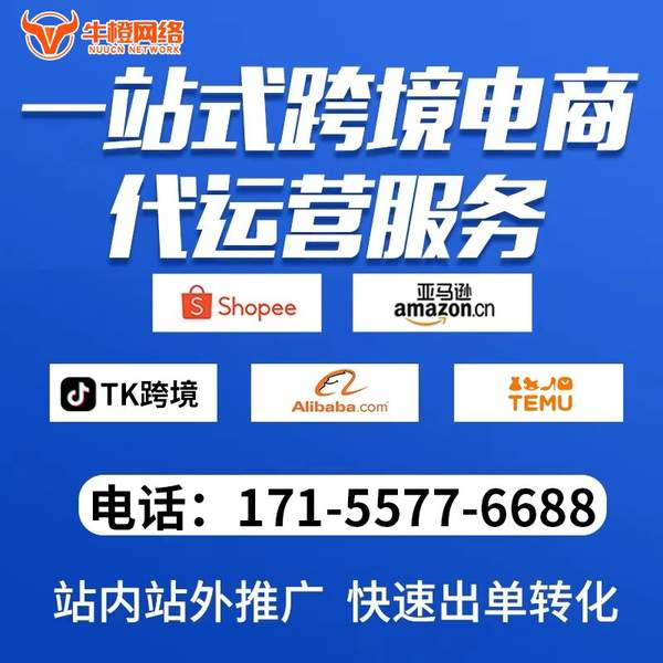 兰州电商代运营