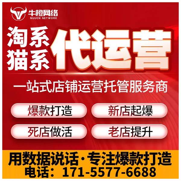 兰州电商代运营
